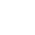 Robot Bulls